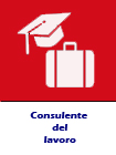 consulente del lavoro
